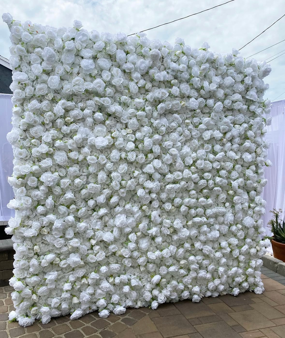 Floral Wall